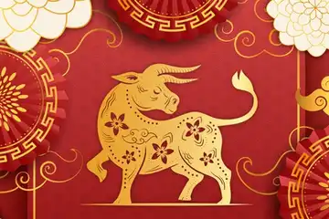 Ilustrasi Shio Kerbau yang Hoki di Tahun 2022