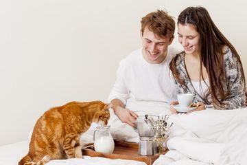 Stop Kasih Ke Kucing, Makanan Ini Ternyata Bisa Membahayakan 
