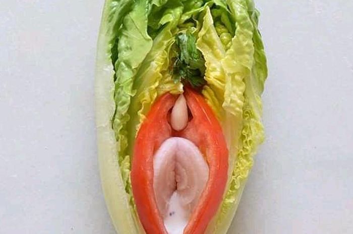 Ilustrasi  vagina pada wanita