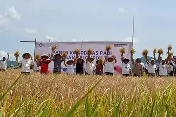 Gapoktan Karapita,Langowan,Minahasa