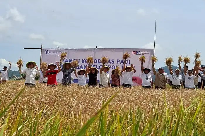 Gapoktan Karapita,Langowan,Minahasa