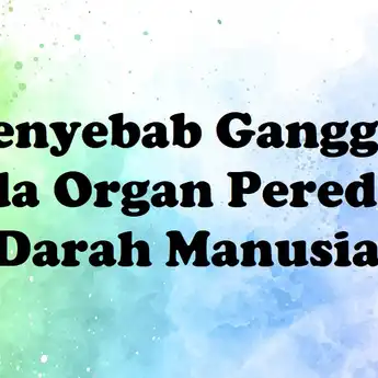 13 Penyebab Gangguan pada Organ Peredaran Darah Manusia